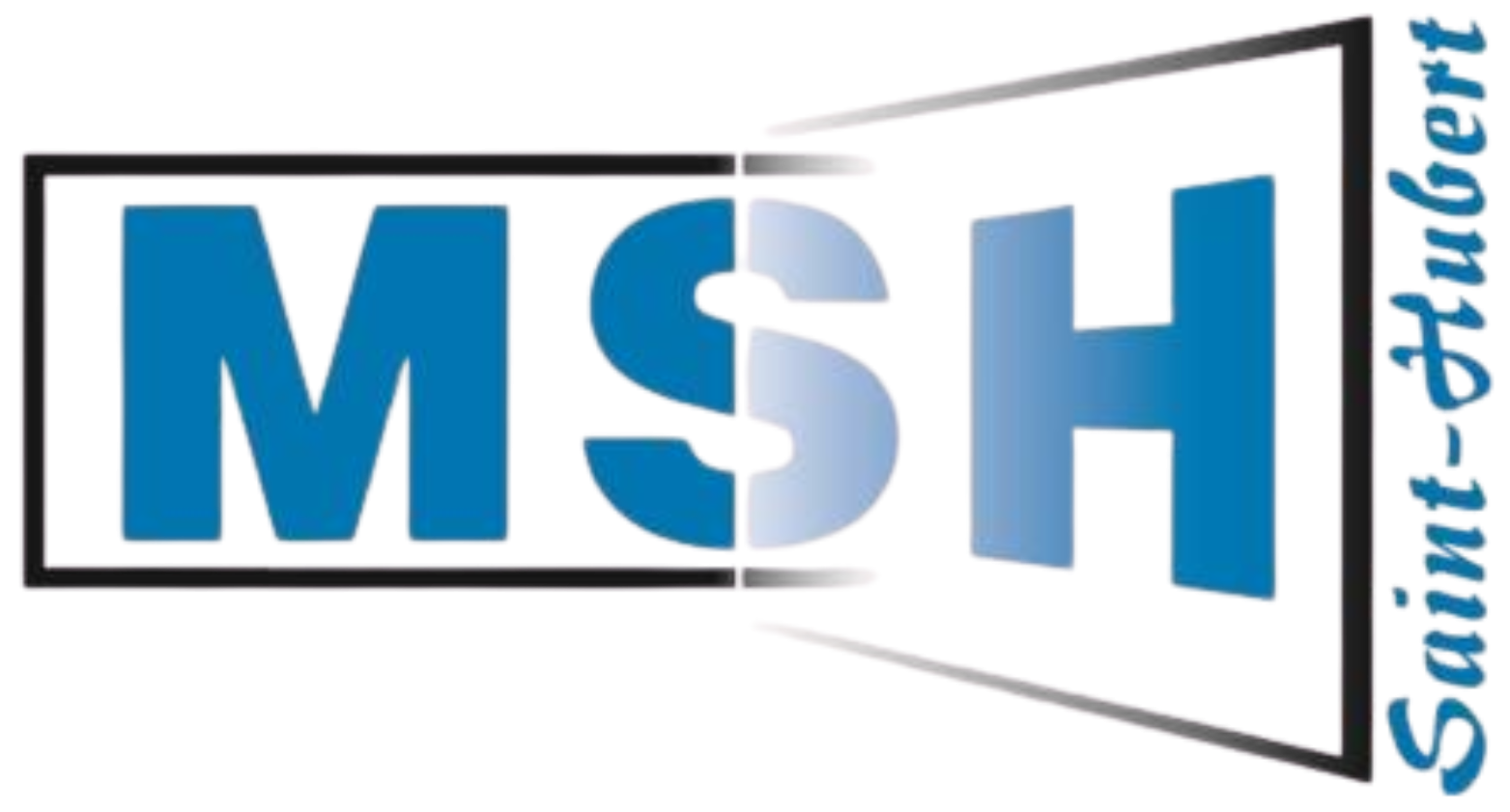 msh logo